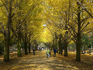 光が丘公園