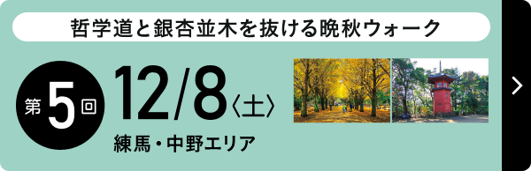 哲学道と銀杏並木を抜ける晩秋ウォーク