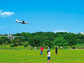 武蔵野の森公園大芝生広場