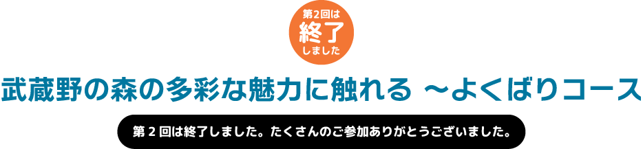 武蔵野の森の多彩な魅力に触れる 〜よくばりコース