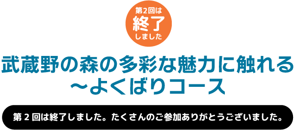 武蔵野の森の多彩な魅力に触れる 〜よくばりコース